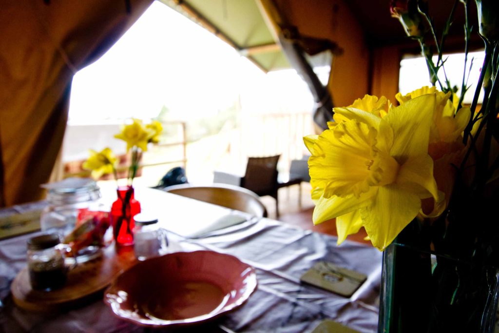 Close up of dining table with flowers